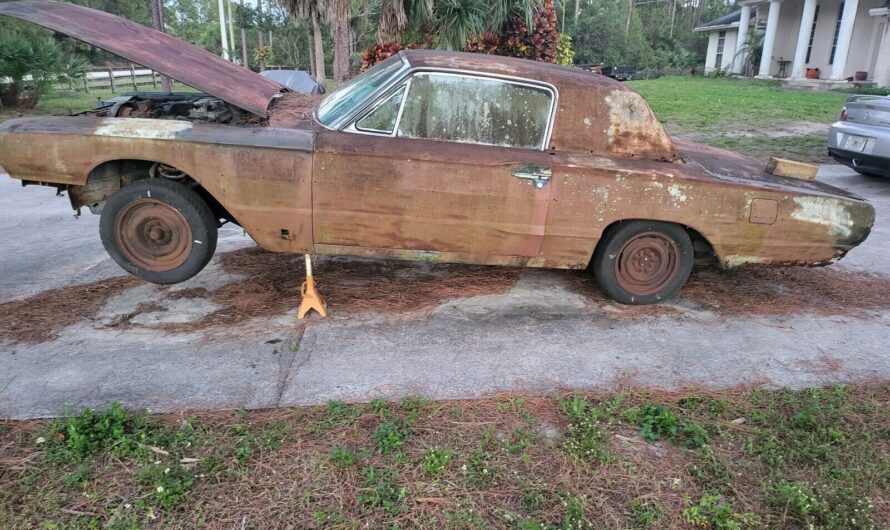 1964 Ford Thunderbird Shows What Rust Does to a Legend Still Not Giving Up