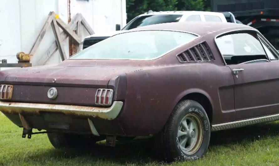 This Super Cobra Jet 428 Ranks High Among Dennis Collins’ Top Barn Finds