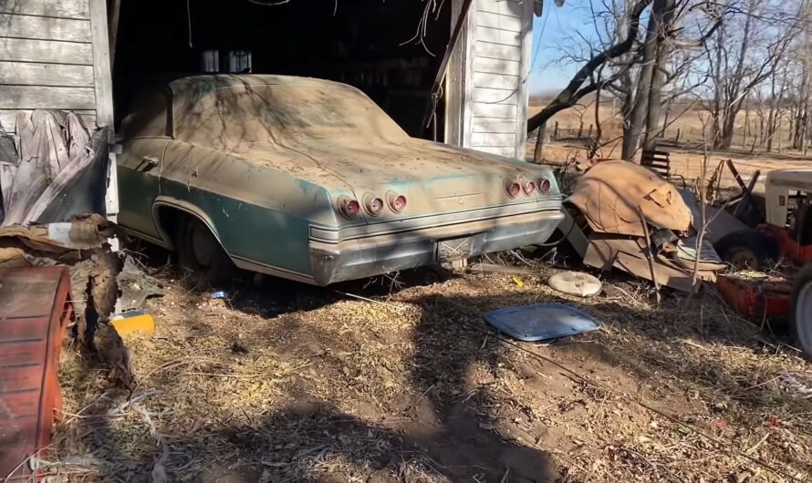 1965 Chevrolet Impala Hidden for 30 Years Surfaces in Search of a Better Life