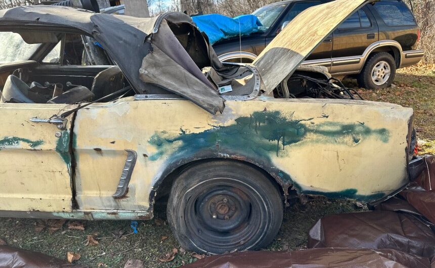 1965 Ford Mustang: A Decaying Beauty on Private Grounds, Deserving of a Second Chance