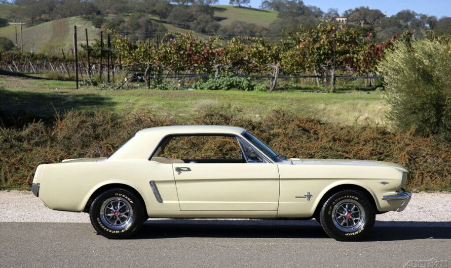 1965 Ford Mustang Stored for Decades Hides Something Original Under the Hood