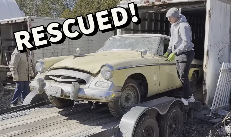 1955 Studebaker Champion Hidden in a Container Gets First Wash in 32 Years