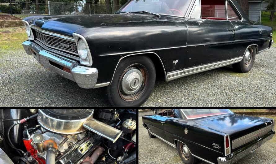 Exploring the Timeless Beauty of the 1966 Chevrolet Nova SS All-Original Survivor