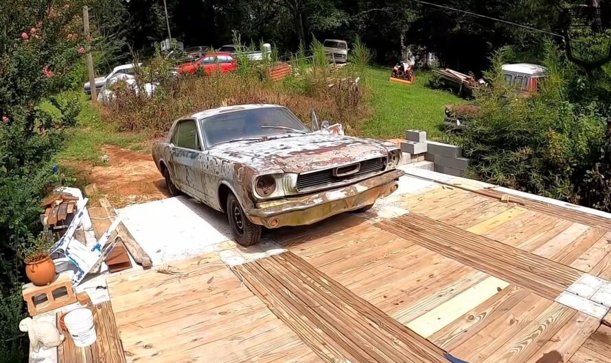 1966 Ford Mustang Abandoned in the Woods Takes First Drive in 30 Years