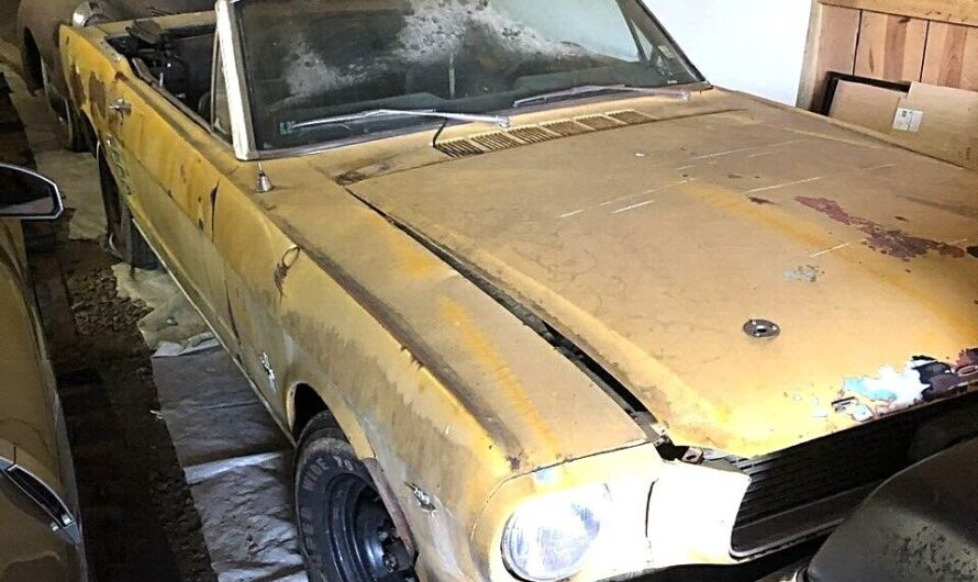 1966 Ford Mustang Stored Away for Years Is a Surprising Californian Pony