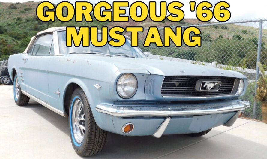 The 1966 Ford Mustang Wakes Up After 20 Years Of Coma, Full Of Mysterious Surprises To Discover