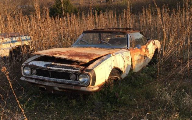 This poor Camaro has been lying in the field for 25 years in a state of decay with its wrinkled and ruined body