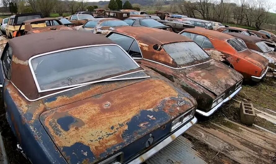 Legendary Chevrolet Camaros and Pontiac Firebirds were discovered in the wilderness containing thousands of rare GM classics