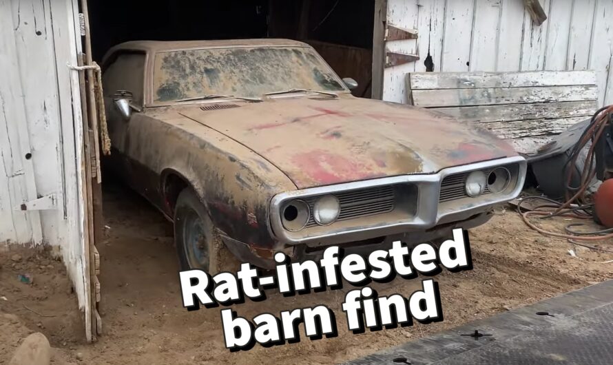 1968 Pontiac Firebird Stored for Decades Is Full of Nasty Surprises