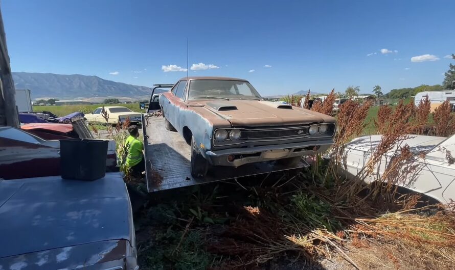 1969 Dodge Super Bee Found in the Bushes Is a Numbers-Matching Survivor