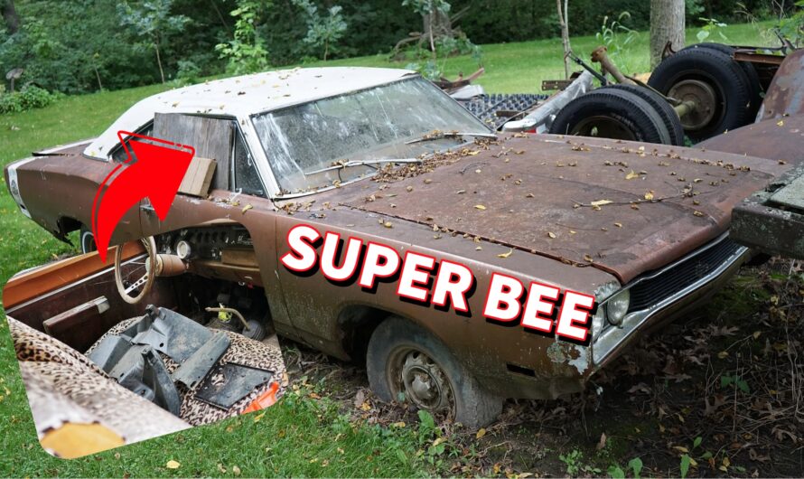 1969 Dodge Super Bee Yard Find Has an Unexpected Surprise Inside the Cabin