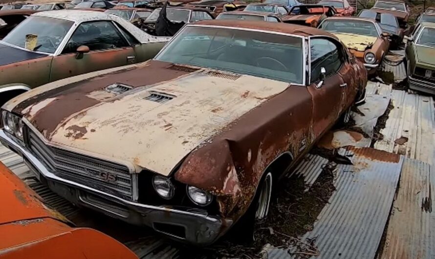 Unearthed Treasures: A Jaw-Dropping Collection of GM Barn Find Muscle Cars