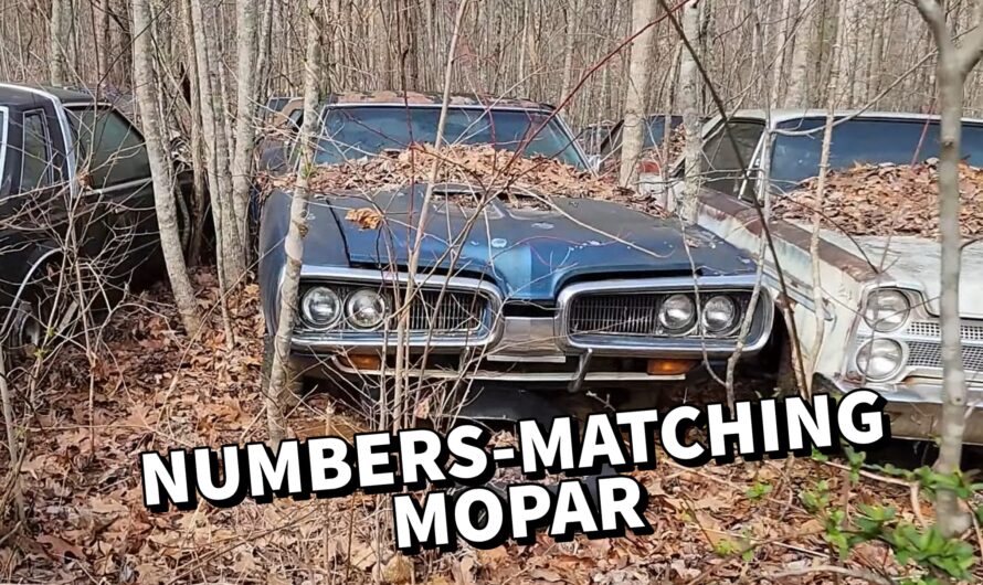 1970 Dodge Coronet R/T Abandoned for Decades Is a Rare Junkyard Gem