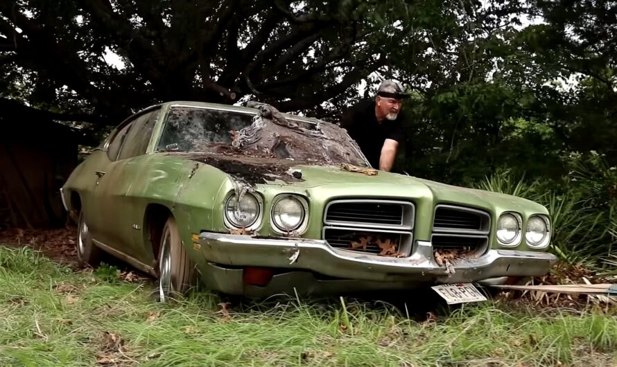 1972 Pontiac LeMans Gets Pulled Out of Collapsing Barn, It’s a Numbers-Matching Survivor