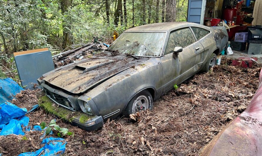 1976 Ford Mustang Cobra Ii Was Pitifully Buried With Nature Discovering The Mystery Hidden Under This Special Car