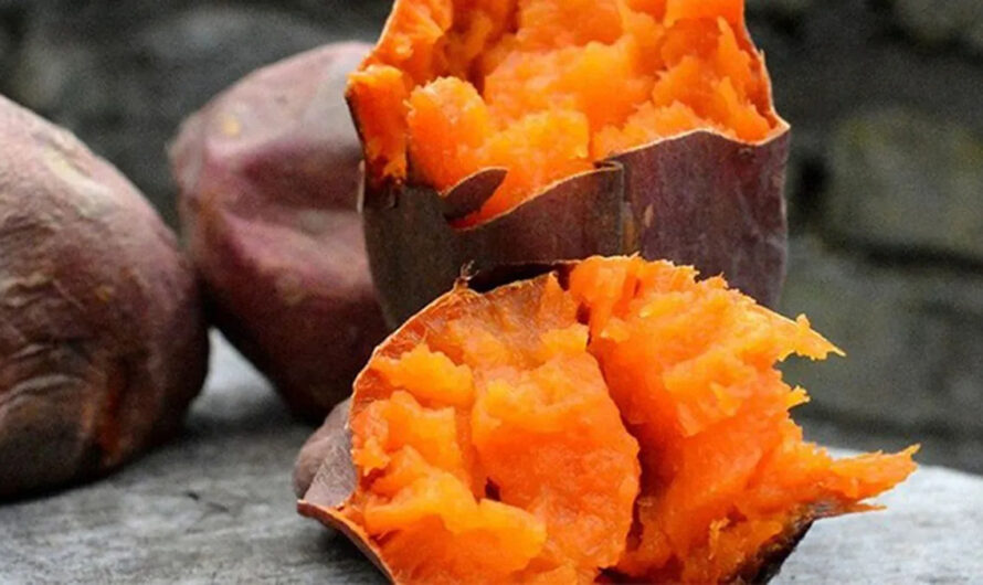 Indulge ın nature’s harmonıous symphony of fragrance and flavor wıth these melodıc sweet potatoes