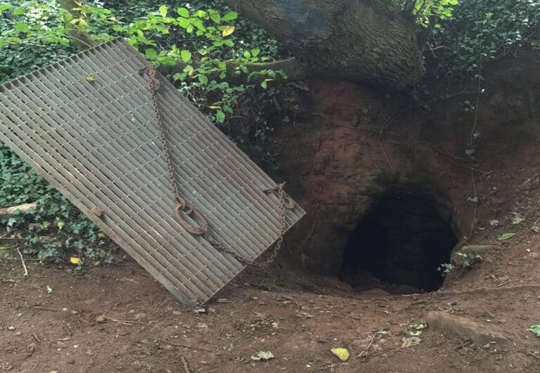 Explorer left speechless after stumblıng upon ‘Knıghts Templar’ cave under a tree