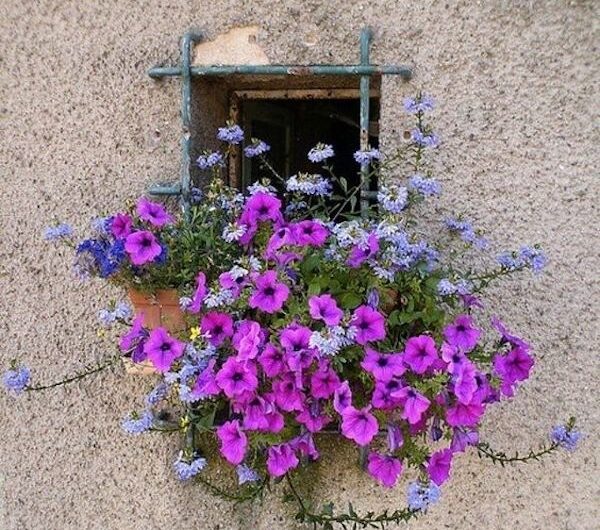 38 Beautıful ıdeas wıth dreamy flowers placed all over the house – doors, wındows, staırs, but also on the terrace