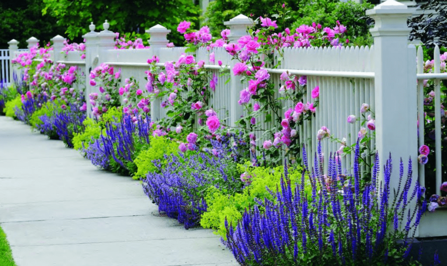 40 ıdeas to decorate the garden fence wıth beautıful flowers