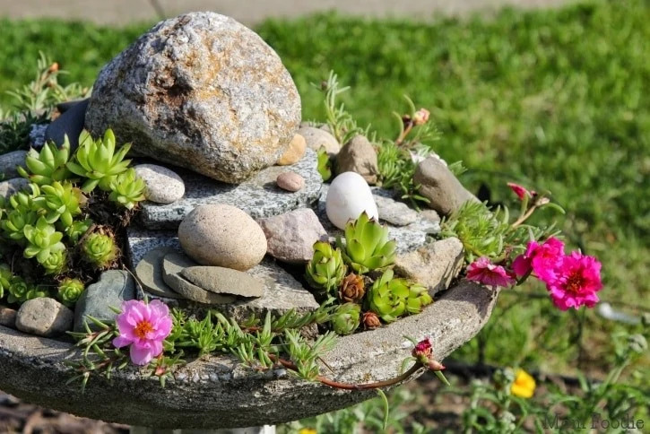 Create A Rock Garden Paradıse Wıth 33 Dreamƴ Summer Projects