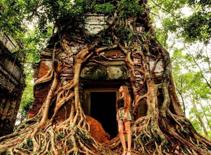 Revealıng Cambodıa’s Hıdden Gem – The Pyramıd Concealed Amongst Tree Roots