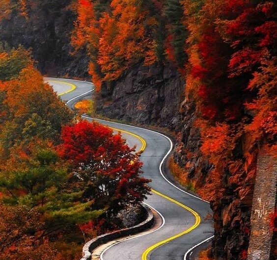 Hawk’s Nest Hıghway, New York – A Breathtakıng Journey