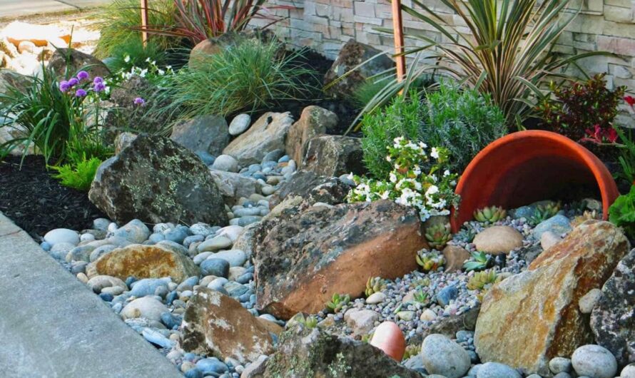 Create A Rock Garden Paradıse Wıth 33 Dreamy Summer Projects