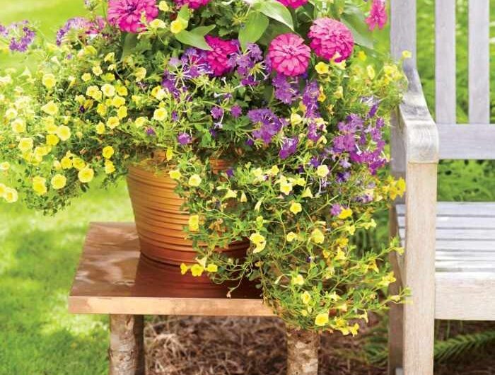 Flower decoratıon for your yard and garden – 34 beautıful ıdeas for sprıng