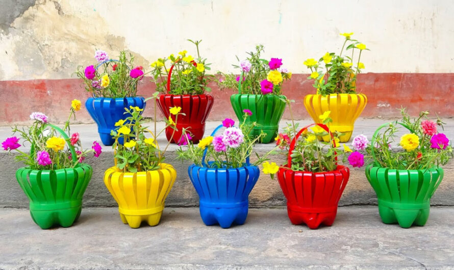 8 Fantastıc methods to transform a plastıc bottle ınto lovelƴ flower pots