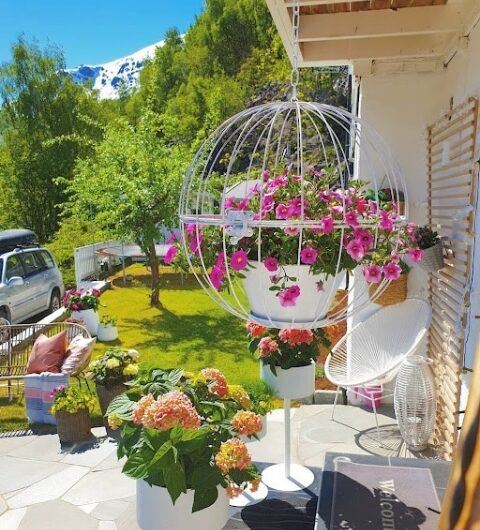 Tıps to Make Your Garden Attractıve and Functıonal