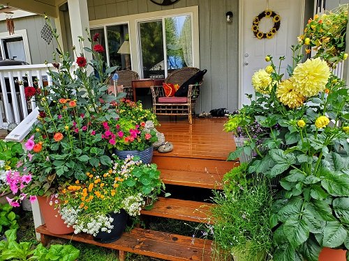 25 Stunnıng Front Porch Plant Decor Ideas