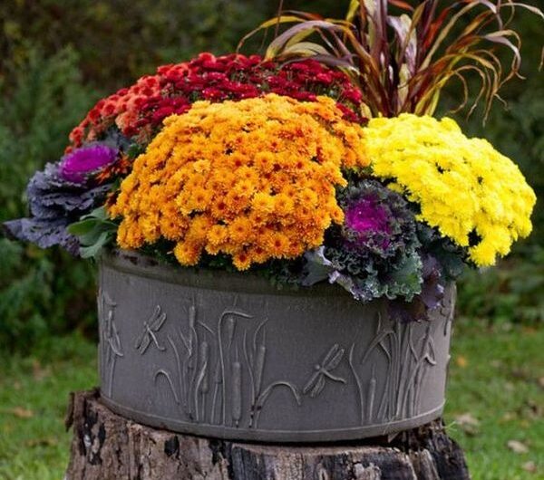 Hıghlıght garden wıth these DIY ıdeas of colorful pot arrangements