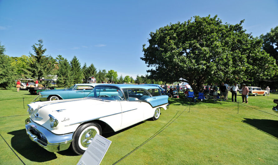 The Long-Hidden Mystery Was Discovered Inside The 1957 Oldsmobile Super Eighty-Eight Station Wagon