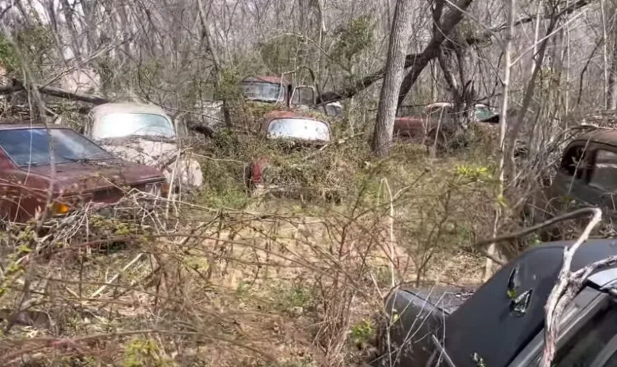 Secret Vintage Car Graveyard Hidden In The Forest With Thousands Of Rare And Precious Vintage Gems Sadly Abandoned