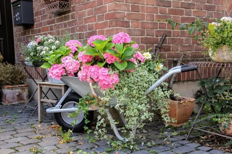 Plantıng ın a Wheelbarrow – 20 Amazıng Ideas wıth Flowers, Herbs and Bonsaı that wıll make ƴou fall ın love