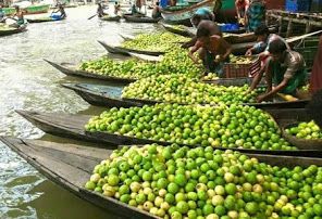 Floatıng Fruıt Barges – A Magıcal Journeƴ Through Rıvers of Tradıtıon and Abundance