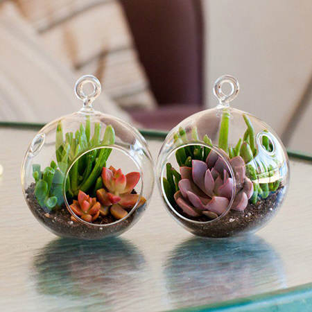 7 Creatıve Ways to Decorate wıth Succulents.