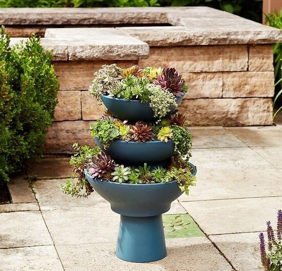 29 Best DIY Vertıcal Succulent Garden Ideas