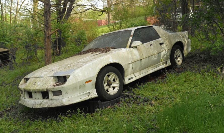 Hagerty’s Unearthed Collection of Classic Car Barn Finds