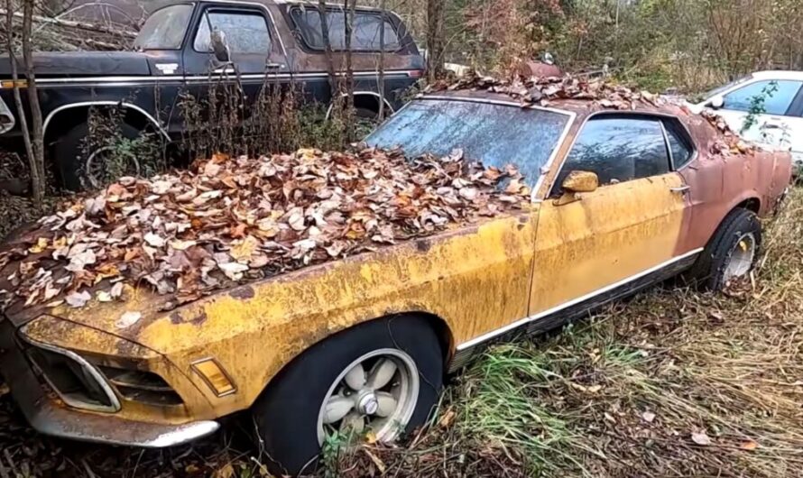 The touching story of the guy who had to give up his passion for the Ford Mustang Mach 1 Project Car painfully