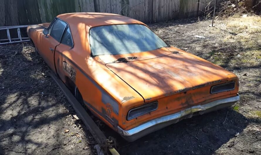 This 1970 Dodge Super Bee is painfully trying to reintegrate with the earth