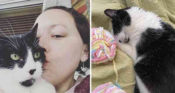 Woman Reveals Her Rescued Cat Saved Her Life Be Detecting Her Breast Canсer