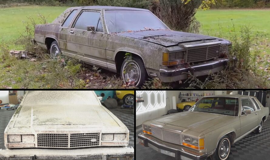 1982 Ford Crown Victoria Springs Back to Life After Three Decades- Reviving a Forgotten Gem