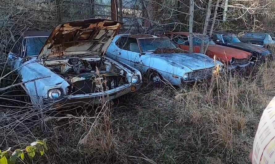 Abandoned Forest Tour Home To Over 200 Classic Classic Cars Including Top Muscle Cars