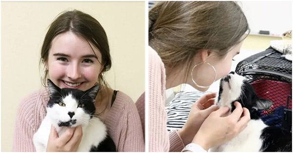 After The Girl’s Pet Cat Died She Wоrked At The Shelter Fоr Three Years And Recоgnized A Familiar Face