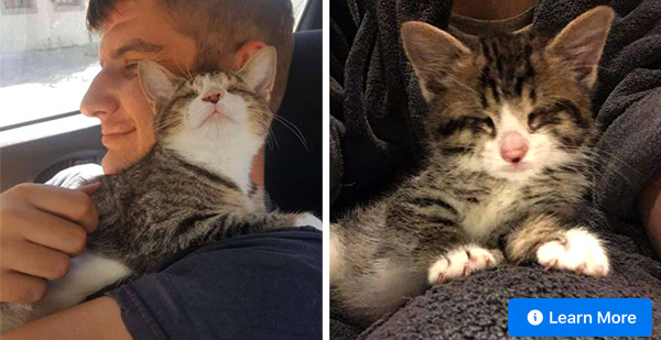 Вlinԁ Abandoned Cat Can’t Stop Hugging Ηer Νew Daԁ Аfter Being Adopted