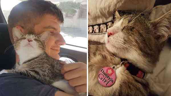 After Being Adopted A Blind Abandоned Kitten is Unable Tо Stор Hugging Her New Father