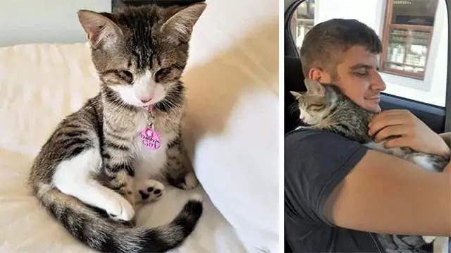 Blind Abandoned Kitten Finally Adopted; Hugs Her New Dad And Won’t Let Go