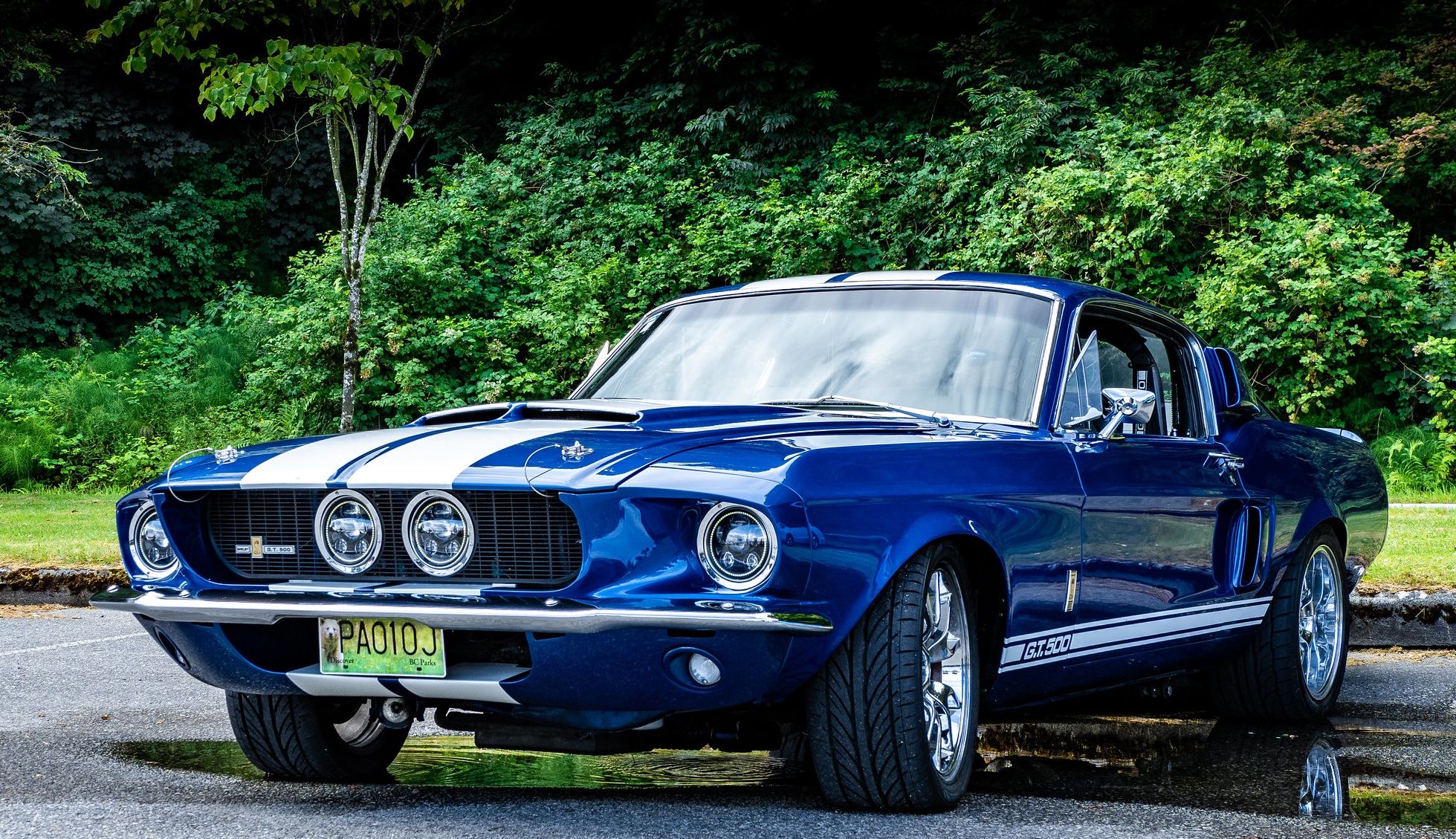 Blue Shelby Mustang in parking lot