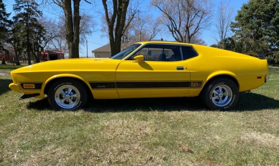 “Busy Bee” 1973 Ford Mustang Mach 1 Cobra Jet Hides 351C Secret and Cool Story